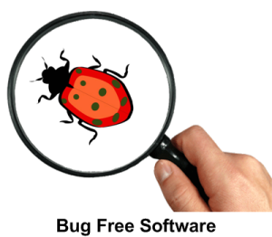 software bug